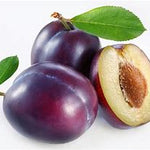 Plum