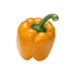 Bell Pepper - Yellow