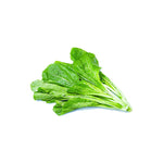 Rapini